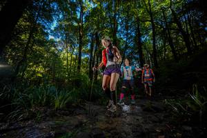 BIB: 
                            <button type="button" onclick="openModal(19240564)" class="btn btn-primary btn-sm float-right btn-popup" data-toggle="modal" data-target=".modal-high-quality">
                        <i class="fas fa-shopping-cart"></i> Add to Cart
                    </button>
                                            <button type="button" onclick="isThisMe(19240564, true)" class="btn btn-success btn-sm float-right btn-popup btn-isme hidden" data-toggle="tooltip" data-placement="bottom" title="นี่คือรูปของคุณใช่ไหม คลิกที่นี่เพื่อเอาเข้าอัลบั้ม">
                        <i class="fas fa-plus"></i> Add to album
                    </button>
                    <button type="button" onclick="isThisMe(19240564, false)" class="btn btn-warning btn-sm float-right btn-popup btn-isnotme hidden">
                        <i class="fas fa-ban"></i> Remove from album
                    </button>